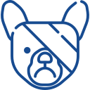Oftalmologia Veterinario en Ourense clinica puga
