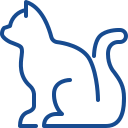 castracion gatos Veterinario en Ourense clinica puga