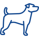 castracion perros Veterinario en Ourense clinica puga