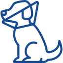 cirugía Veterinario en Ourense clinica puga