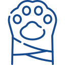 traumatologia Veterinario en Ourense clinica puga
